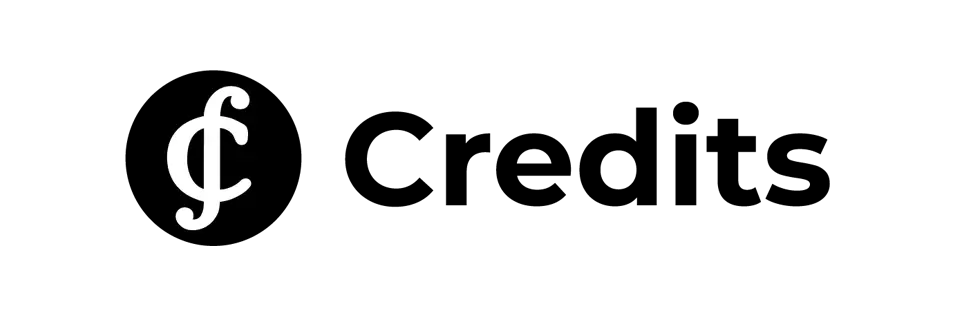 Partner 6